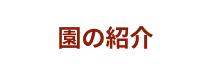 園の紹介